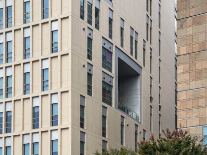Seoul Miz Hospital (서울미즈병원)