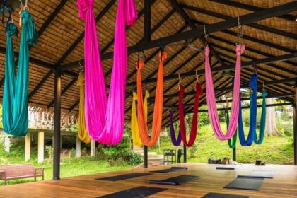 Wonderland Healing Center