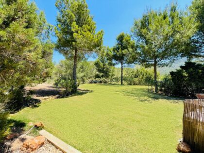 Malva Retreats Ibiza