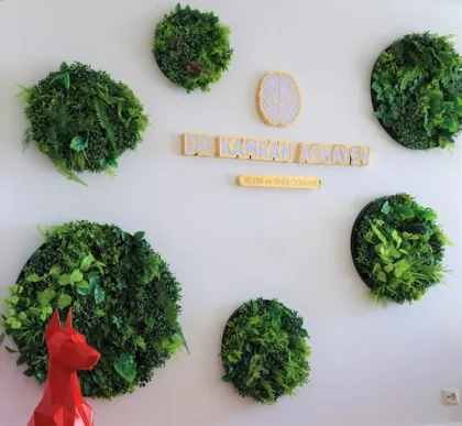 Dr. Kamran Aghayev’s Private Practice Dr. Kamran Aghayev’s Private Practice