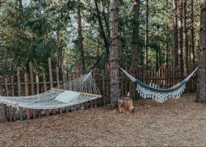 Wisteria Wellness Retreat