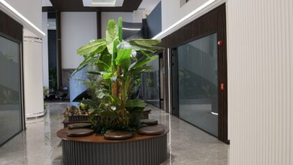 Aestepool Clinic