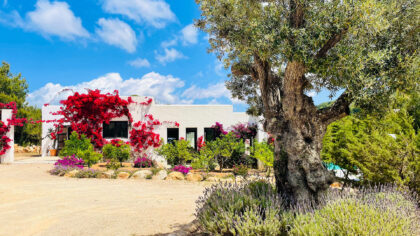 Malva Retreats Ibiza