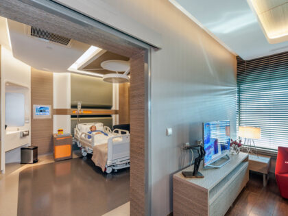 Liv Hospital Ulus