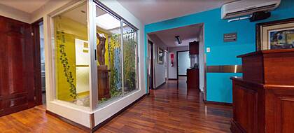 Universal Plastic Surgery Universal Plastic Surgery