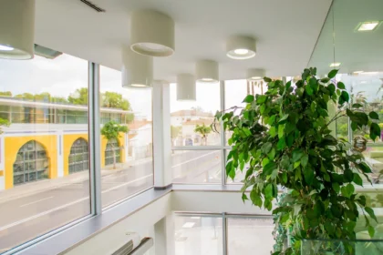 Instituto Odontologico de Castellon
