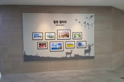 Soon Chun Hyang University Hospital
