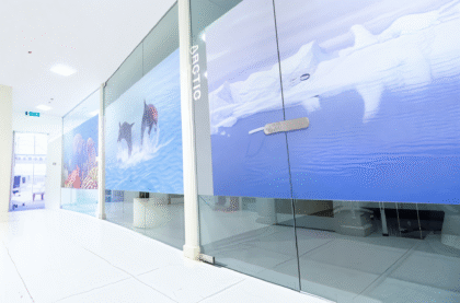 Ocean Dental