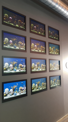 Sonrie Estudio Dental