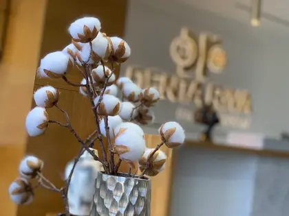 Dr. Bertan Buyan Dental Clinic