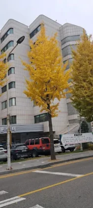 Gachon University Gil  Medical Center