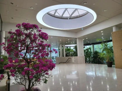 Severance Hospital