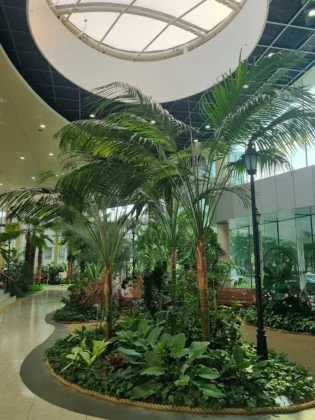 Severance Hospital