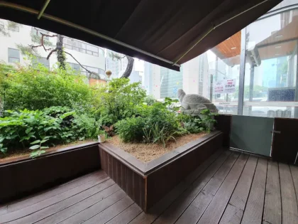 Kwangdong Hospital of Traditional Korean Medicine