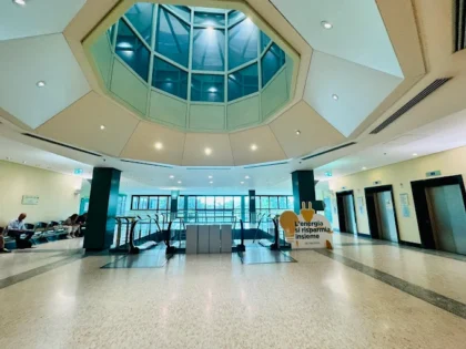 Humanitas Research Hospital Humanitas Research Hospital