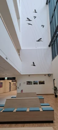 Clinic Frankfurt Höchst