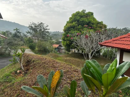 Indimasi Ayurveda & Healing Village