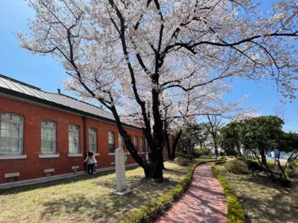 Seoul National University Hospital (SNUH)