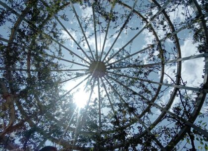 Wisteria Wellness Retreat