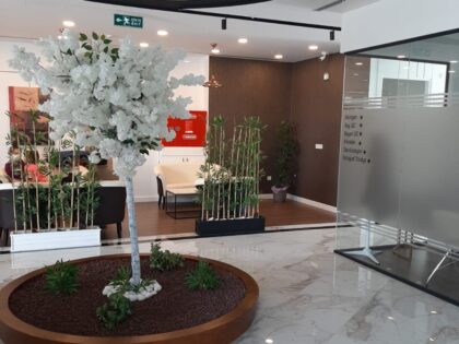 DM Klinik