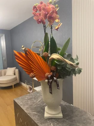Op. Dr. Sinan Eroğlu Clinic