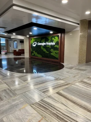 Gleneagles Global Health City