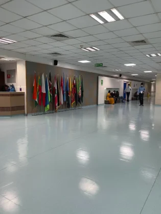 Gleneagles Global Health City