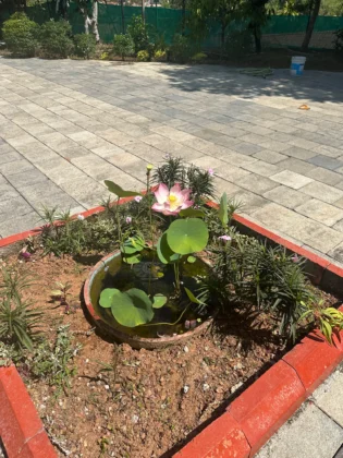 Indimasi Ayurveda & Healing Village