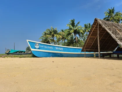 Veda5 Ayurveda & Yoga Retreat