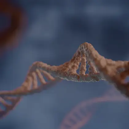 MER Clinic MER Clinic