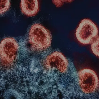 MER Clinic MER Clinic