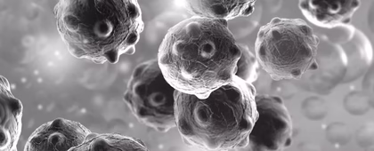 MER Clinic MER Clinic