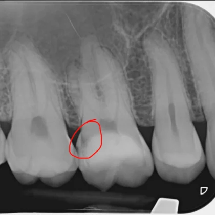 Edelweiss Dental House
