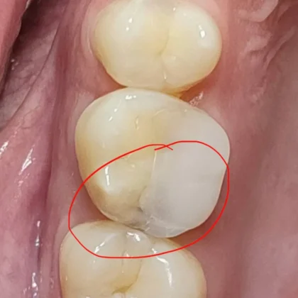 Edelweiss Dental House