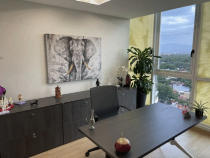Dr. Lavalle’s Private Practice