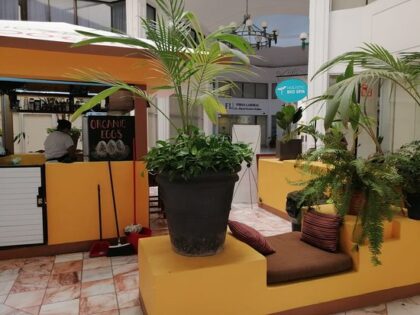 Holistic Bio Spa®