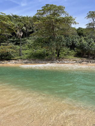 Mangosteen Ayurveda & Wellness Resort
