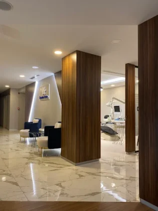 İstanbul Diş Akademisi