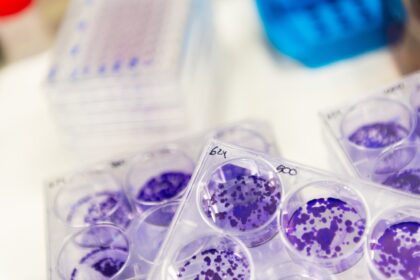 Vall d’Hebron Institute of Oncology (VHIO)