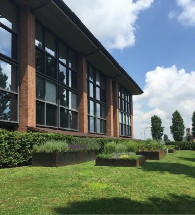 European Institute of Oncology (IEO)