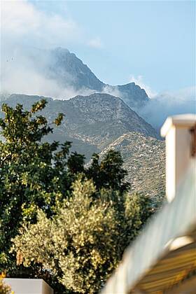 Dr. Blum’s Biomechanics Center Dr. Blum’s Biomechanics Center