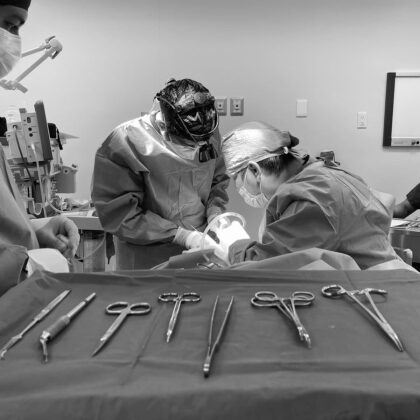 Human Plastic Surgery Human Plastic Surgery