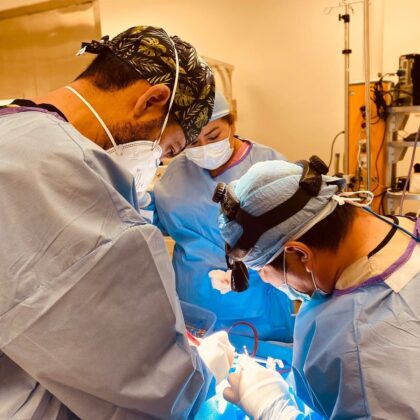 Human Plastic Surgery Human Plastic Surgery