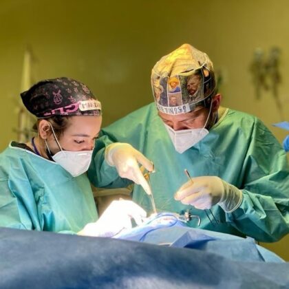 Human Plastic Surgery Human Plastic Surgery