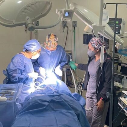 Human Plastic Surgery Human Plastic Surgery