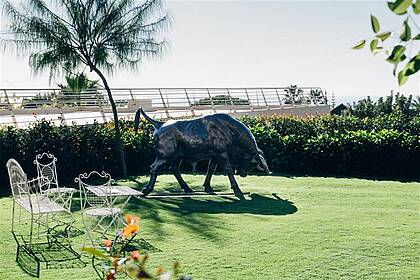 Dr. Blum’s Biomechanics Center Dr. Blum’s Biomechanics Center