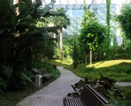 Champalimaud Clinical Centre