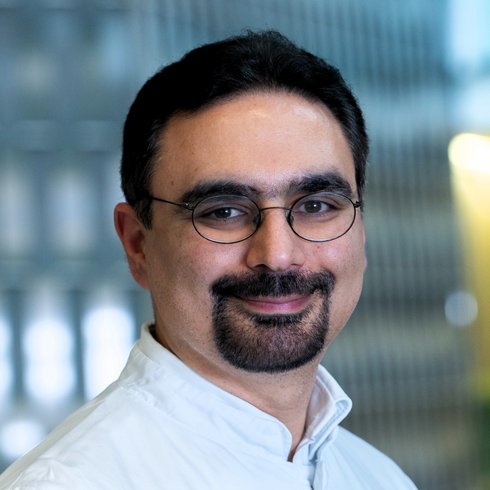 Leonidas Apostolidis