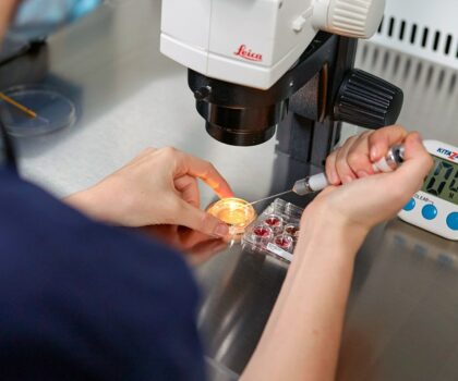 IVF-Life Madrid