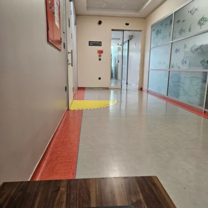 NP Istanbul Brain Hospital